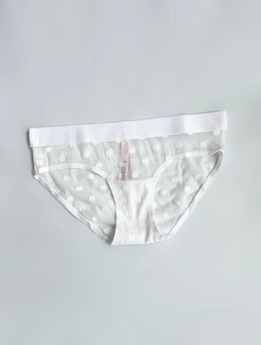 Трусики бікіні в сіточку з логорезинкою білі Sheer Heritage Logo Hiphugger Panty